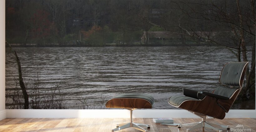 Enjoying the View Wall Murals