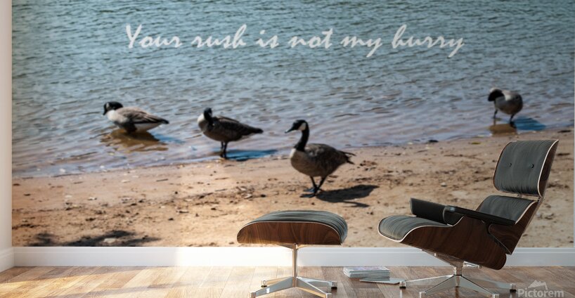 Your Rush Wall Murals