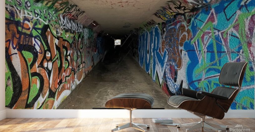 IMG 4933 Wall Murals