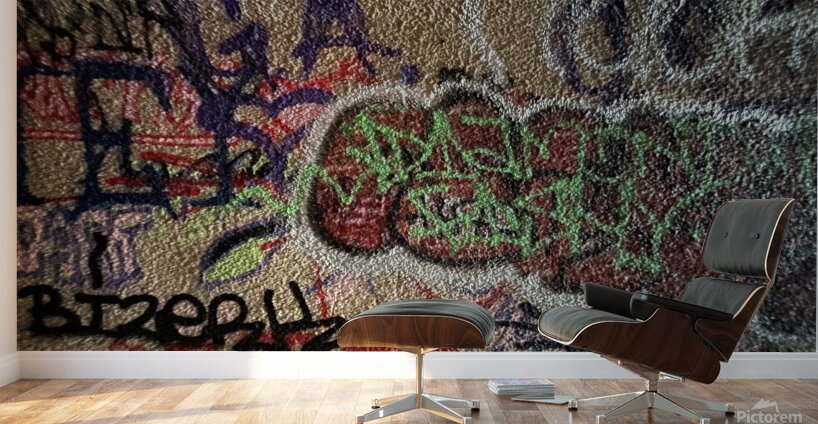 IMG 4745 Wall Murals