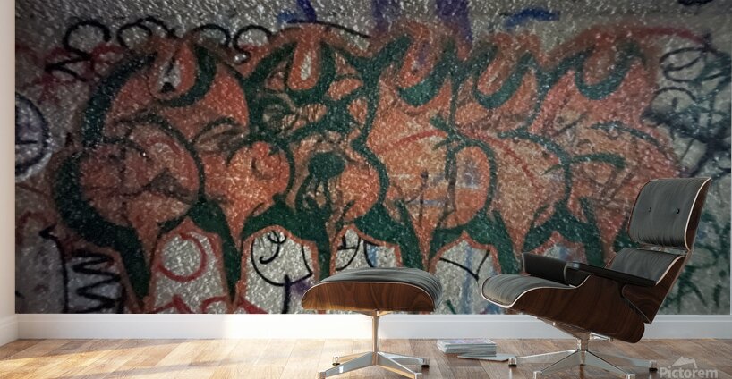 IMG 4748 Wall Murals