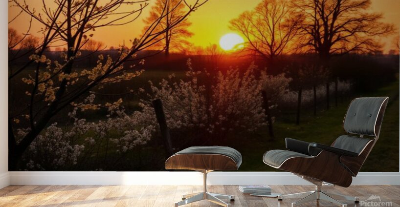  Stunning mural depicting a serene sunset over a vibrant field adorned with trees and blooming flowers. Wall Murals