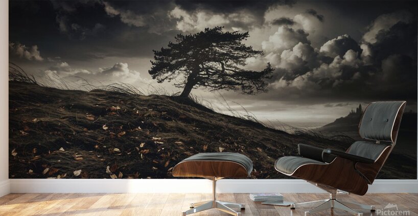 Autumn Forest Path: Serene Nature Landscape Photography Wall Murals