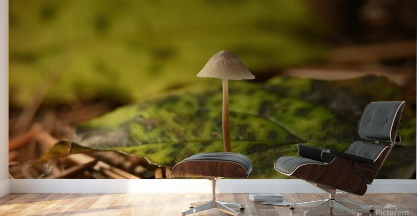 The mighty one  Wall Murals