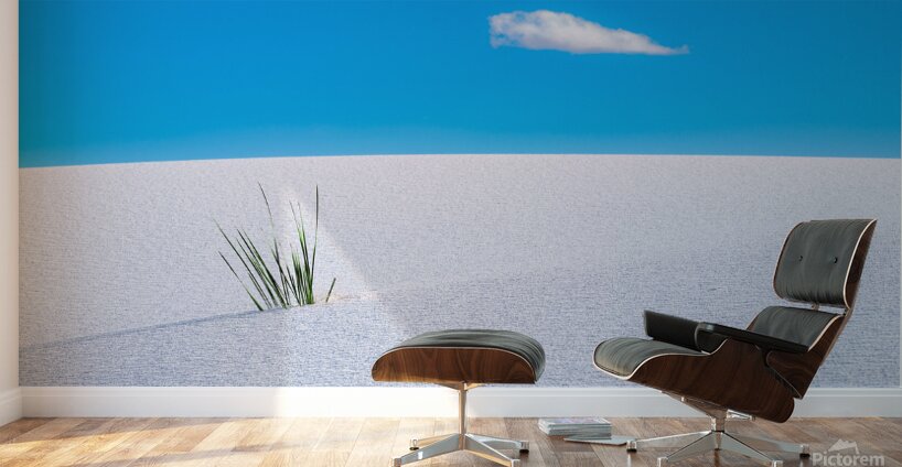 Solitude Wall Murals