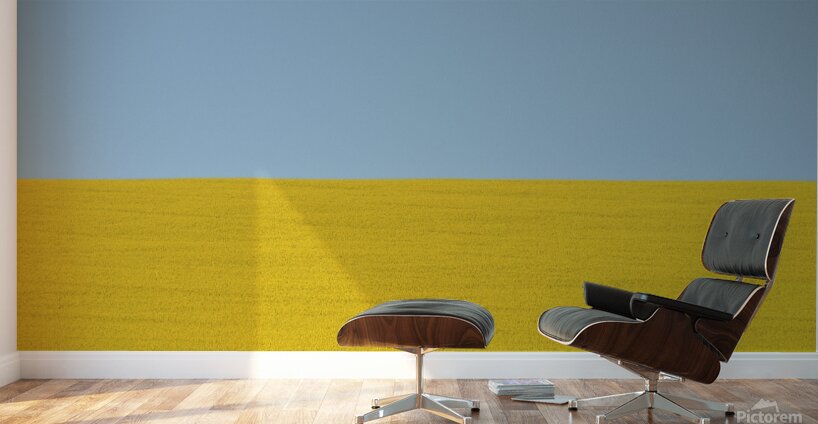 Terra Ukraine Wall Murals