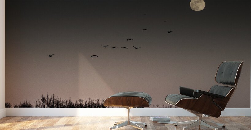 FS250211 MOONRISE Wall Murals
