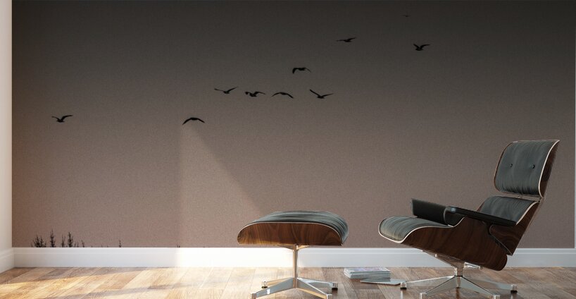 FS250211 MOONRISE 810 Wall Murals