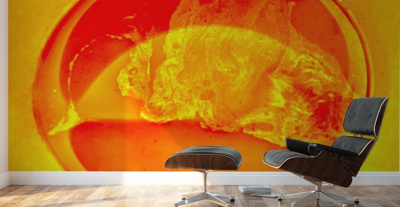 Cercle de feu Wall Murals