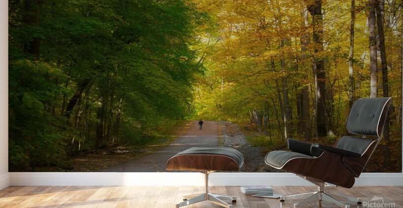 Centered Wall Murals