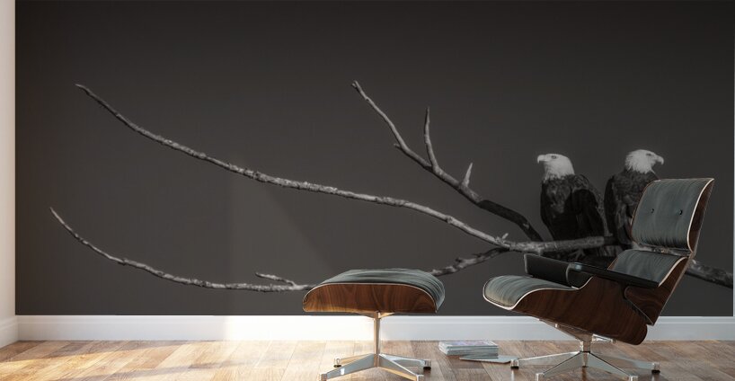 FS250211 EAGLES TWOGETHER B4 Wall Murals