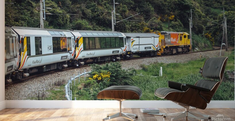 Tourist Train Wall Murals