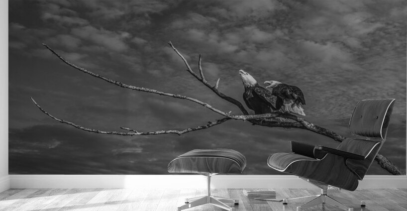 FS250211 EAGLES TWOGETHER BW2 Wall Murals
