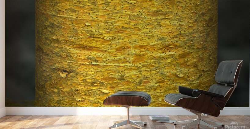  jasmund V Wall Murals