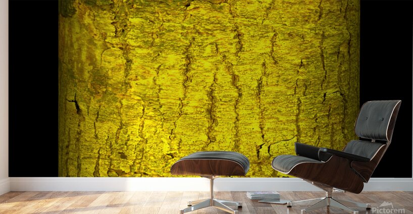 kakazo I Wall Murals