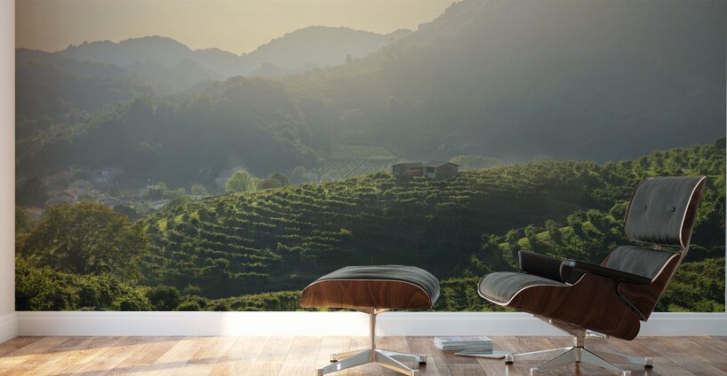Prosecco Hills vineyards at sunset Wall Murals