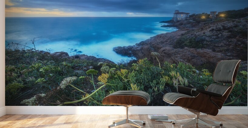 Boccale castle on the rocks rough sea and a plant Wall Murals