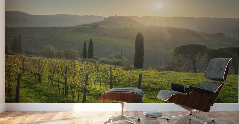 Chianti vineyards landscape at sunset. Tuscany Wall Murals