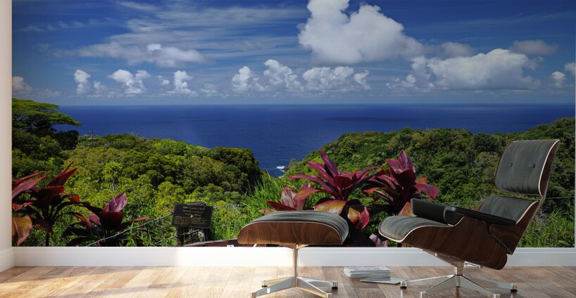 The Edge of Serenity  Wall Murals