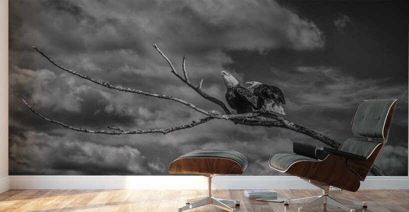 FS250211BW EAGLES CALLING Wall Murals