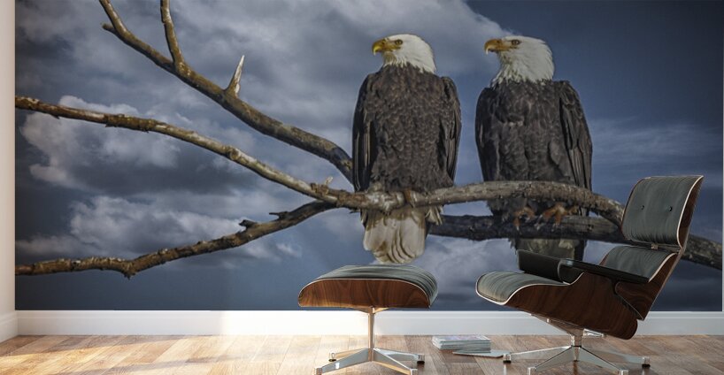 FS250211 PAIR OF EAGLES TWOGETHER 2 Wall Murals