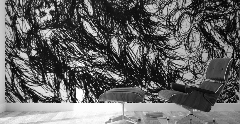 20230628 222744 2 EDIT   Copy Wall Murals