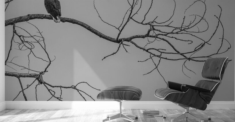 FS250209 TWO EAGLES TWOGETHER BW Wall Murals