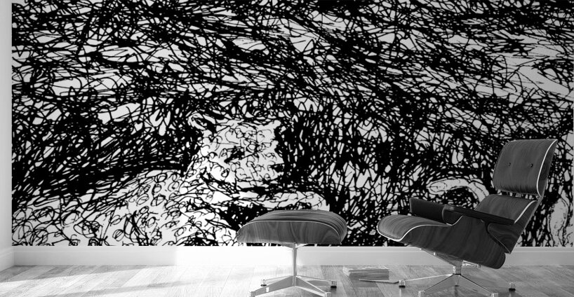 20240328 004220 2 Wall Murals