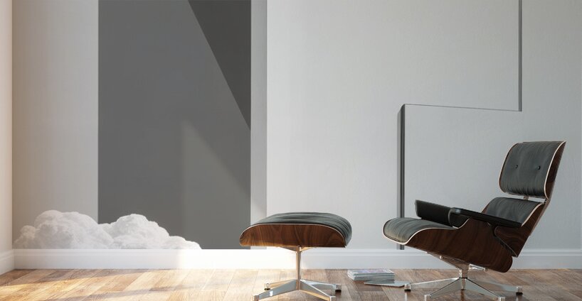  Frameworks of Life  Wall Murals