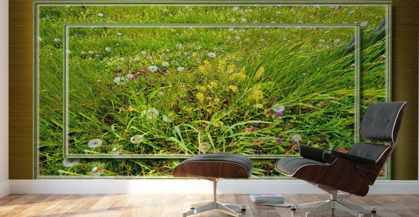 Wildflowers Var 2  Wall Murals