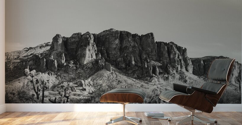 The Superstitions BW Wall Murals