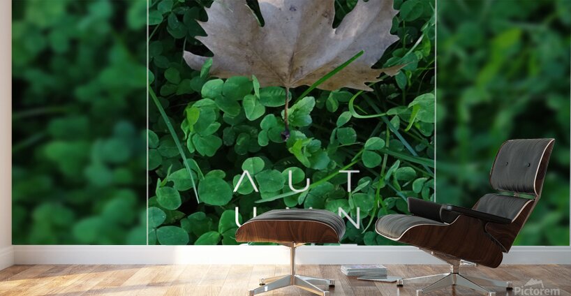 Plain tree leaf on clover meadow Wall Murals