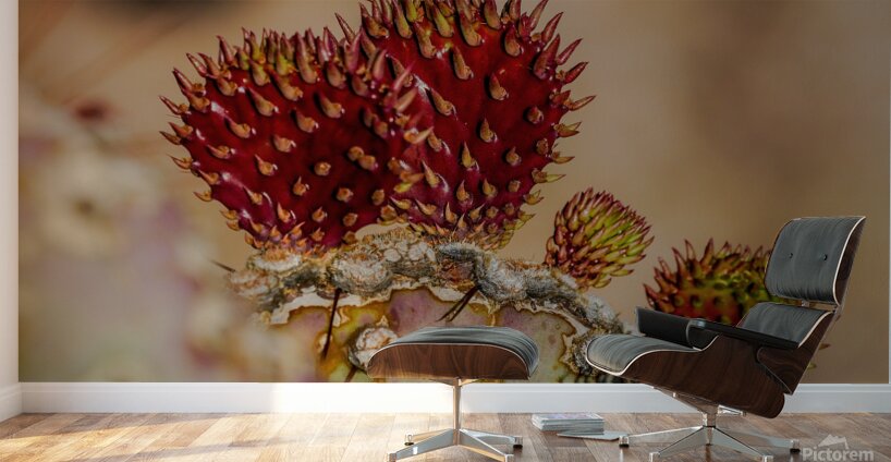 Red Prickly Pear Wall Murals