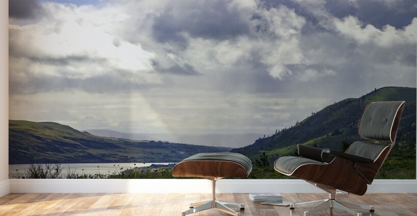 Columbia River Spring Oregon  Wall Murals