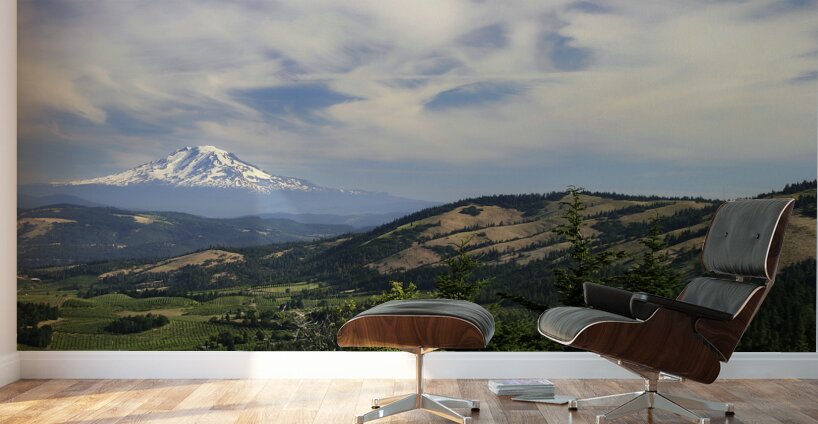 Mount Adams Washington  Wall Murals