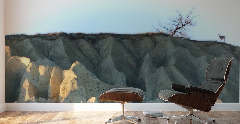 Deer on Hoodoos at Aqam Wall Murals