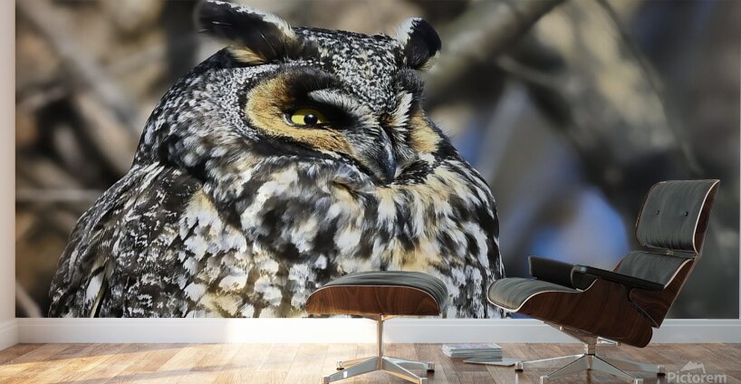 Concentration  Wall Murals