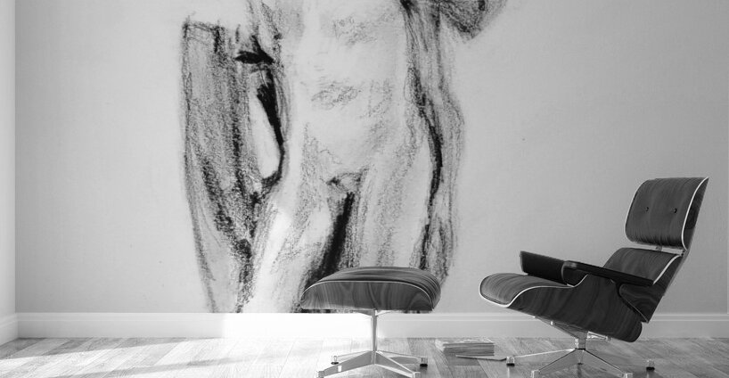 PSX 20241115 005456 Wall Murals