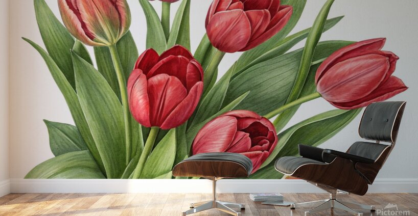 Radiant Red Tulips: A Timeless Floral Elegance 1 Wall Murals