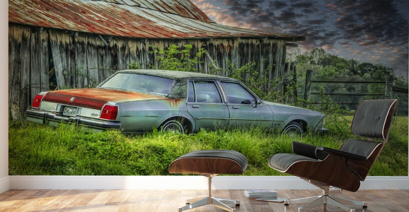 Abandoned in Tennessee Farm Country Wall Murals