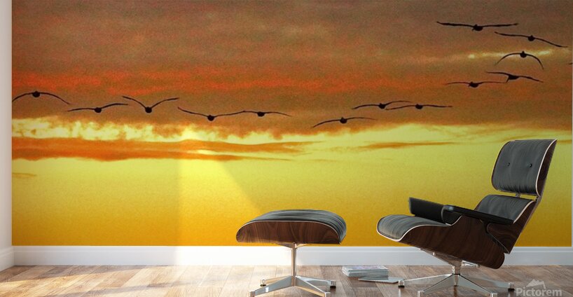 Pelican Sunset Wall Murals