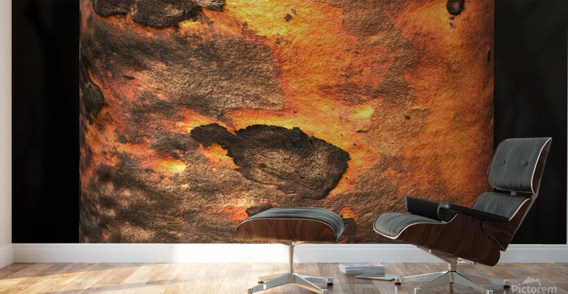 dharawal II Wall Murals