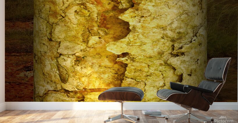 friluftsliv IV Wall Murals