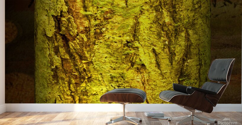 friluftsliv I Wall Murals