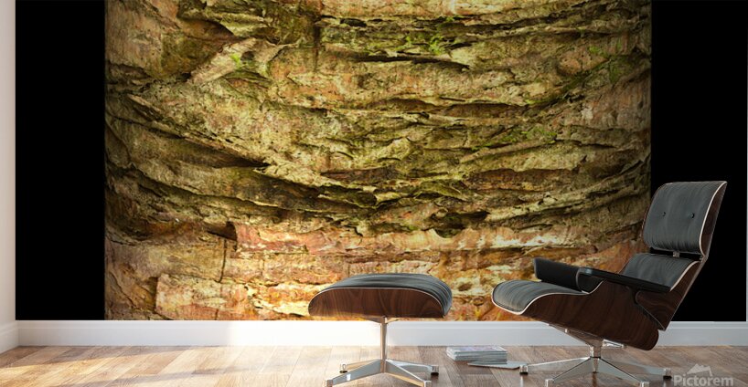 kanha IV Wall Murals