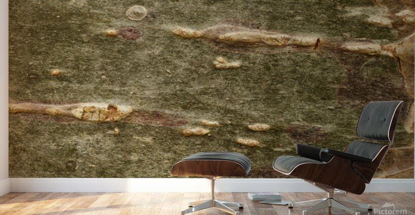 flatBark5 Wall Murals