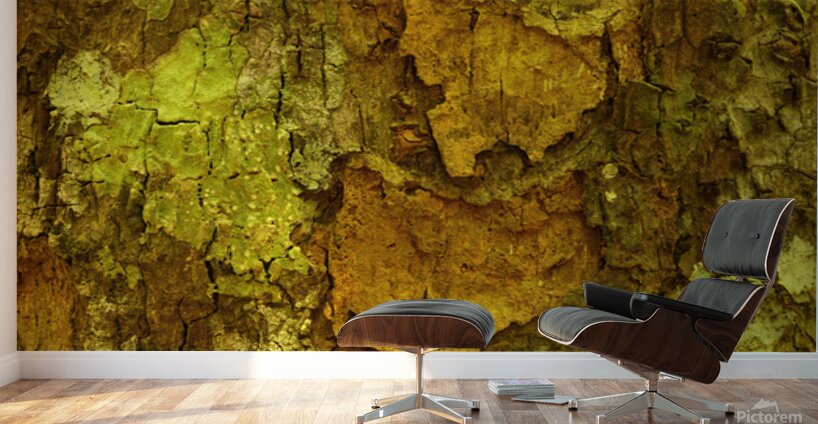 flatBark6 Wall Murals