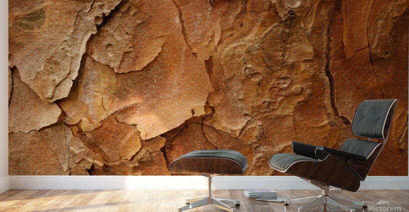 flatBark23 Wall Murals