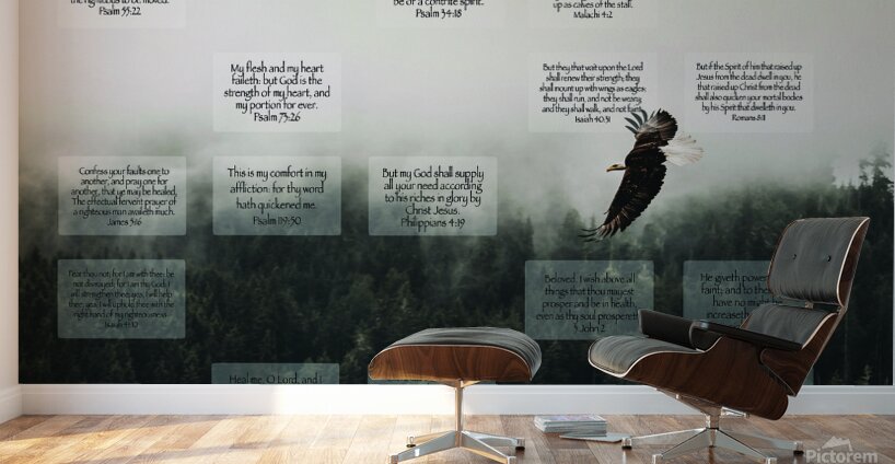 MNW8-EAGLE Wall Murals