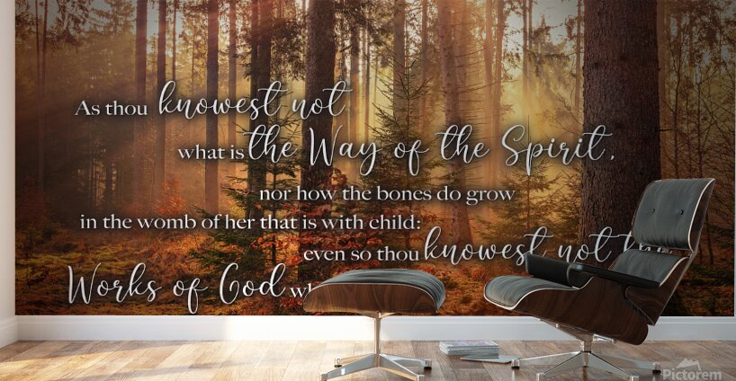 MNW12-FOREST ECC1 5 Wall Murals